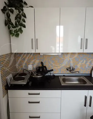 Prodej bytu 1+1, Brno - Lesná, Halasovo náměstí, 32 m2