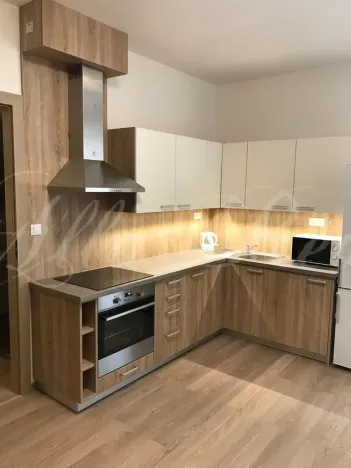 Pronájem bytu 2+kk, Brno - Zábrdovice, Francouzská, 40 m2