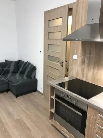 Pronájem bytu 2+kk, Brno - Zábrdovice, Francouzská, 40 m2