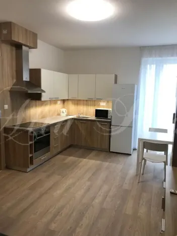 Pronájem bytu 2+kk, Brno - Zábrdovice, Francouzská, 40 m2