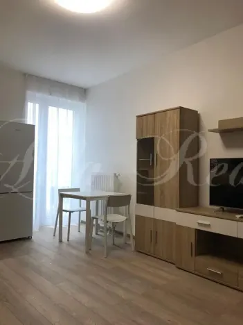 Pronájem bytu 2+kk, Brno - Zábrdovice, Francouzská, 40 m2