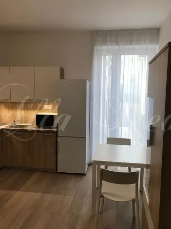 Pronájem bytu 2+kk, Brno - Zábrdovice, Francouzská, 40 m2