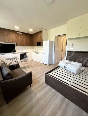 Pronájem bytu 1+kk, Brno - Štýřice, Sovinec, 30 m2