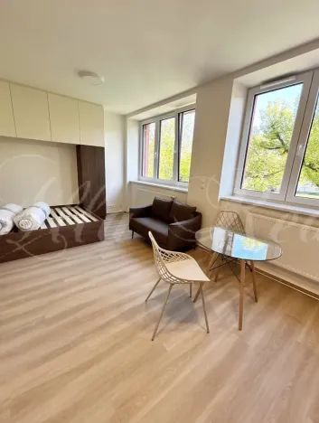 Pronájem bytu 1+kk, Brno - Štýřice, Sovinec, 30 m2
