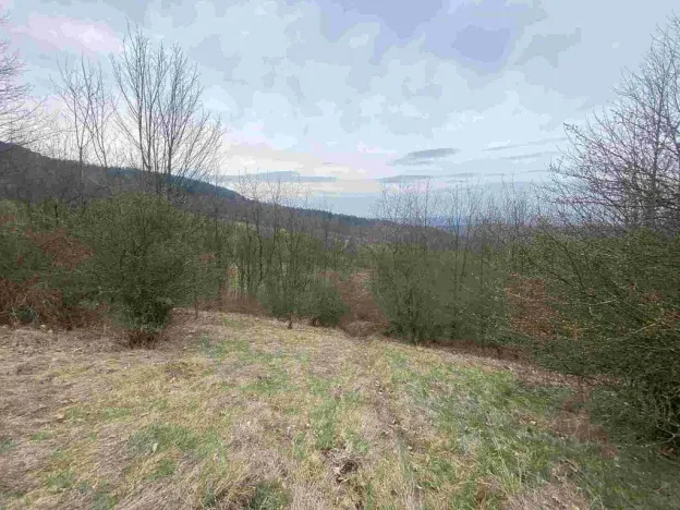 Prodej pozemku, Mírová pod Kozákovem - Vesec, 1000 m2