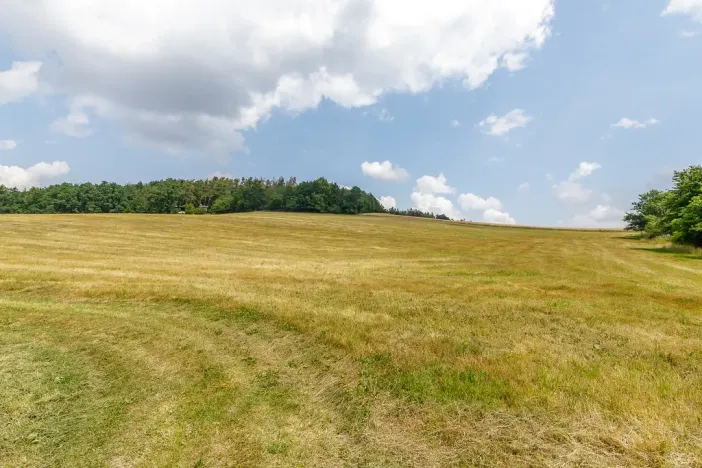 Prodej domu, Neveklov - Borovka, 550 m2