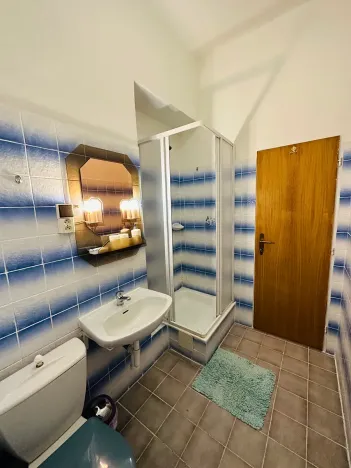 Pronájem apartmánu, Karlovy Vary, Zámecký vrch, 200 m2