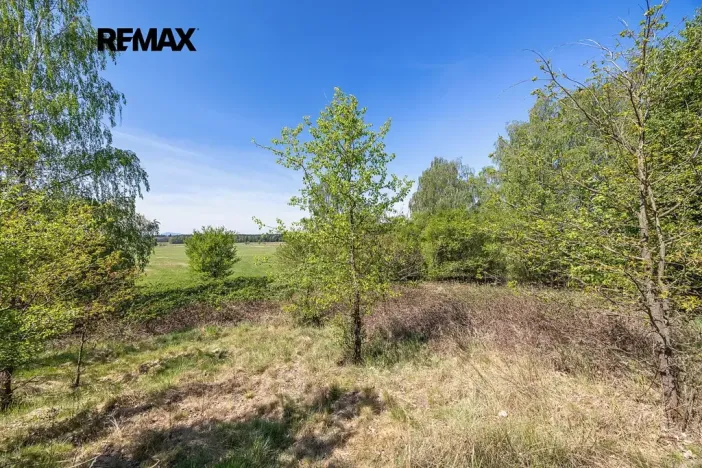 Prodej pozemku pro bydlení, Rapšach, 8139 m2