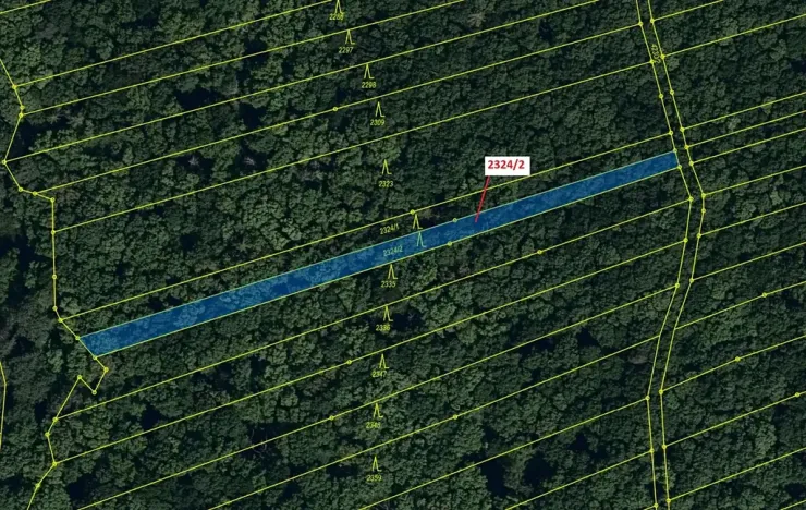 Dražba lesa, Slavkov, 1060 m2