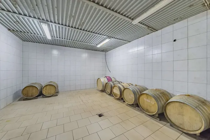 Prodej zemědělského objektu, Velké Pavlovice, Trávníky, 400 m2