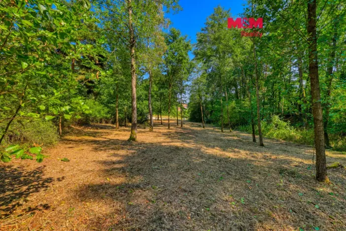 Prodej zahrady, Velký Bor - Slivonice, 2248 m2