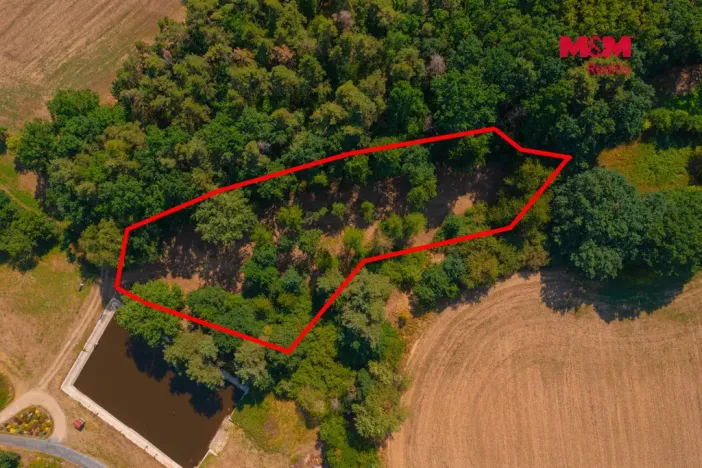 Prodej zahrady, Velký Bor - Slivonice, 2248 m2