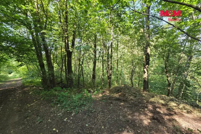 Prodej pozemku, Šemnice, 20949 m2