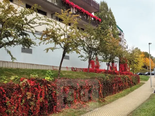 Pronájem bytu 4+kk, Praha - Vokovice, Irská, 153 m2