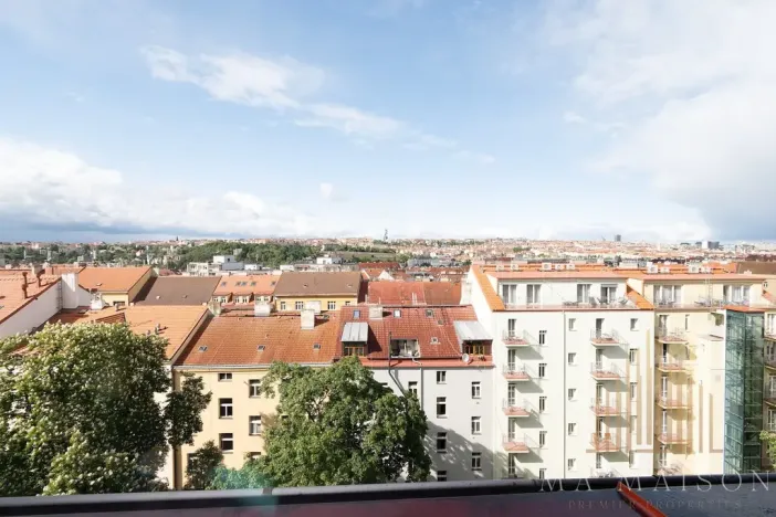 Pronájem bytu 2+kk, Praha - Nusle, Pod vilami, 103 m2