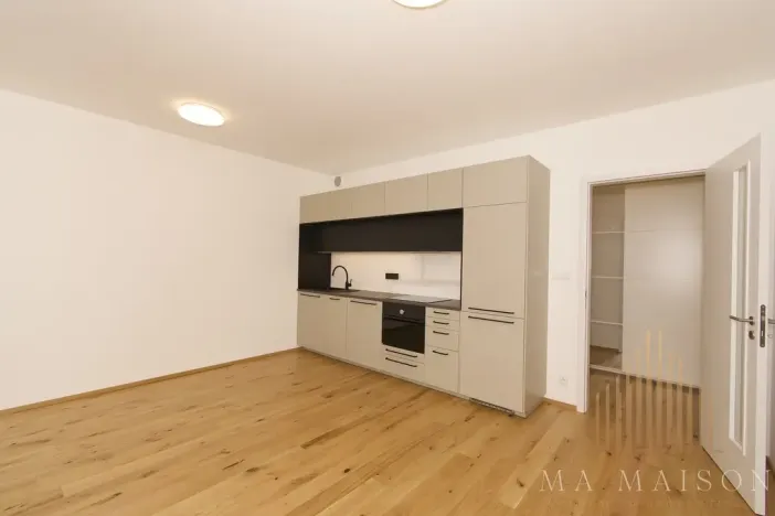 Pronájem bytu 2+kk, Praha - Nusle, Závišova, 42 m2