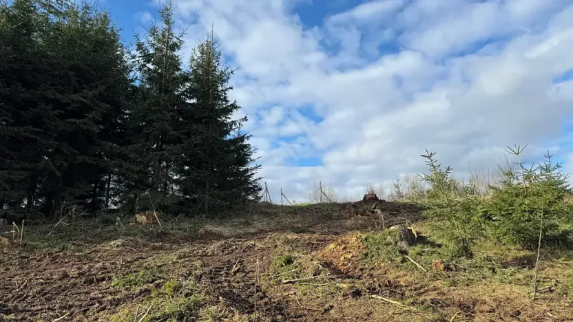 Prodej lesa, Pecka, 35108 m2