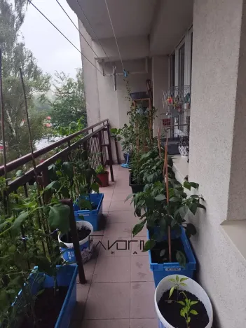 Pronájem bytu 2+1, Ostrava, Krasnoarmejců, 58 m2