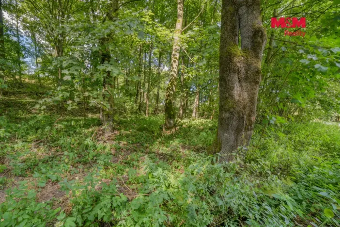 Prodej pozemku pro bydlení, Březová - Rudolec, 1858 m2