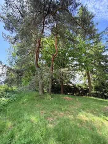 Prodej chaty, Borová, 53 m2