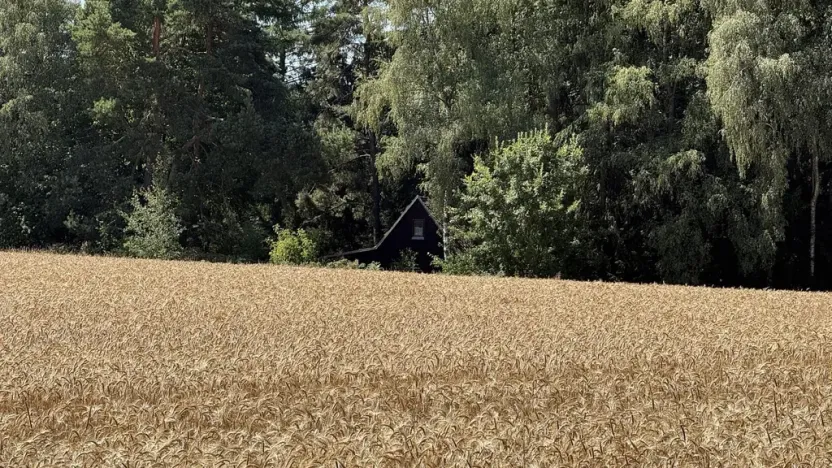 Prodej chaty, Borová, 53 m2