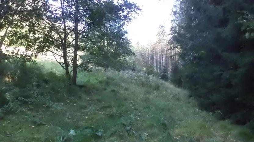 Prodej pole, Roztoky u Semil, 496 m2