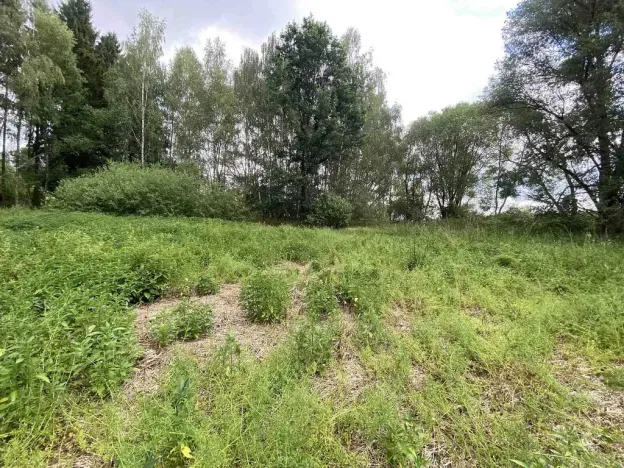 Prodej louky, Nové Hrady - Štiptoň, 6751 m2