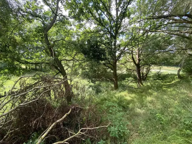 Prodej louky, Nové Hrady - Štiptoň, 4246 m2