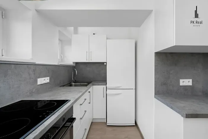 Prodej bytu 2+kk, Brno, Renneská třída, 47 m2