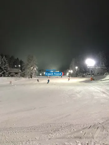 Pronájem chalupy, Zlaté Hory, 170 m2