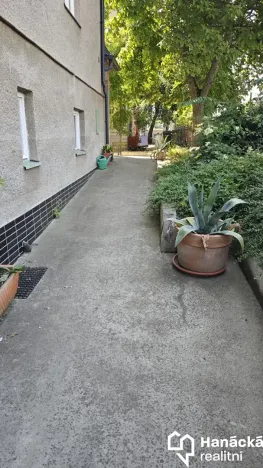 Pronájem pokoje, Olomouc, Krakovská, 100 m2