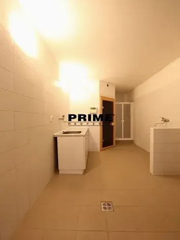 Pronájem rodinného domu, Praha - Nebušice, Druhého odboje, 390 m2
