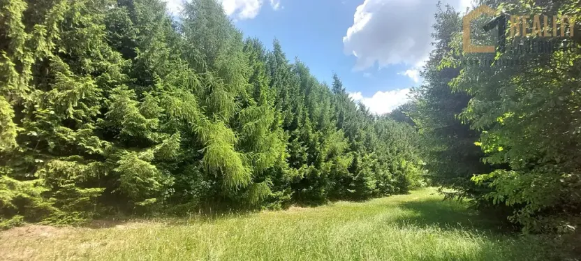Prodej zemědělské usedlosti, Kunvald, 160 m2