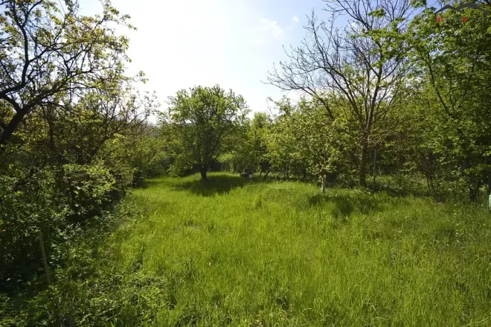 Prodej zahrady, Hostěrádky-Rešov, 705 m2