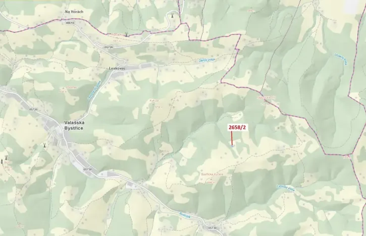 Dražba louky, Valašská Bystřice, 465 m2