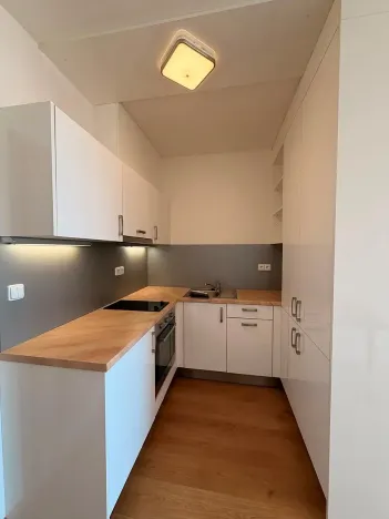 Pronájem bytu 1+kk, Brno, Vídeňská, 31 m2
