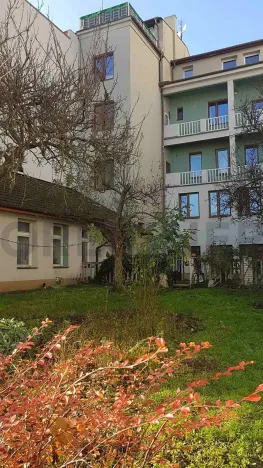 Pronájem bytu 1+1, Brno, Palackého třída, 36 m2