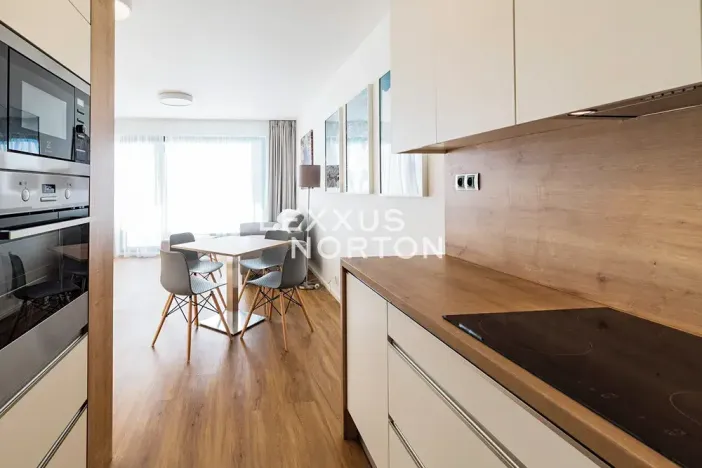 Pronájem bytu 2+kk, Praha - Karlín, Nekvasilova, 60 m2