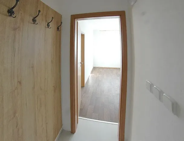 Pronájem bytu 1+1, Plzeň, Dvořákova, 36 m2
