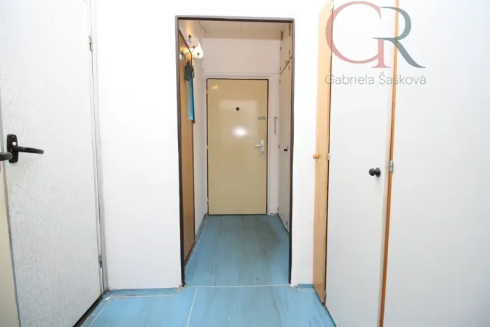 Prodej bytu 1+kk, Plzeň - Skvrňany, Lábkova, 37 m2