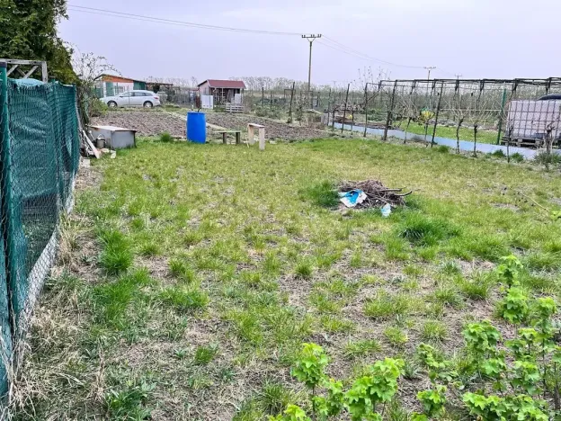 Prodej zahrady, Podivín, 396 m2