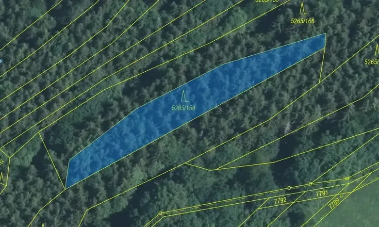 Dražba lesa, Strání, 1065 m2