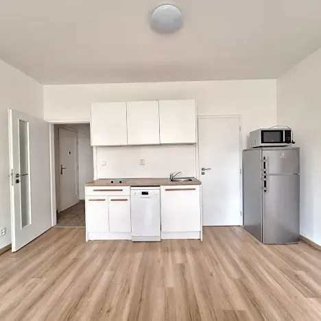 Pronájem bytu 1+kk, Praha - Bubeneč, U zeměpisného ústavu, 26 m2