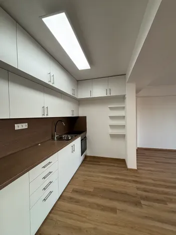 Pronájem bytu 3+1, Přáslavice, 150 m2