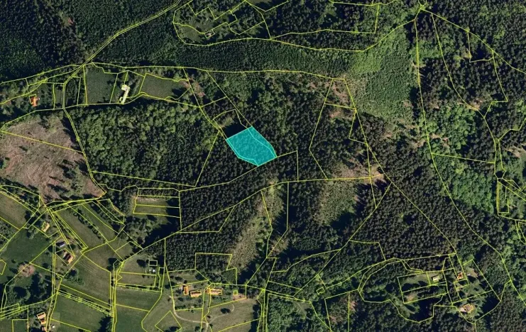 Dražba lesa, Horní Bečva, 4284 m2