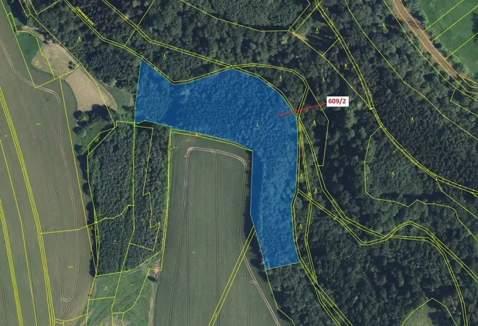 Dražba lesa, Zářecká Lhota, 20728 m2