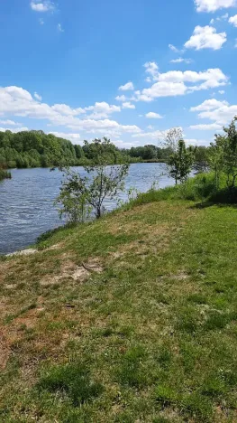 Prodej rybníku, Bulhary, 350 m2
