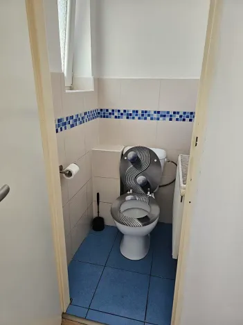 Pronájem vícegeneračního domu, Velká Polom, 100 m2