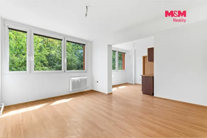 Prodej bytu 3+1, Mladá Boleslav, Erbenova, 72 m2