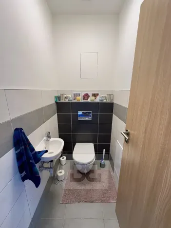 Pronájem bytu 4+kk, Dolní Břežany, K Břežanům, 124 m2